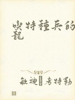 吃特种兵的大黑龙