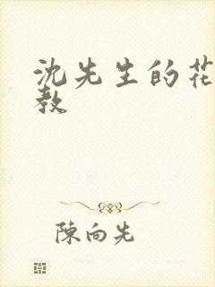 沈先生的花式管教