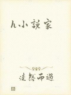 h小说家