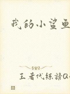 我的小鲨鱼