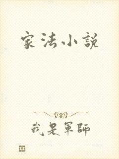 家法小说
