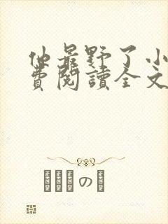 他最野了小说免费阅读全文封面