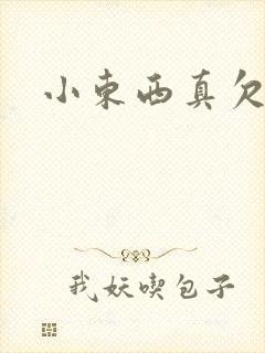 小东西真欠弄