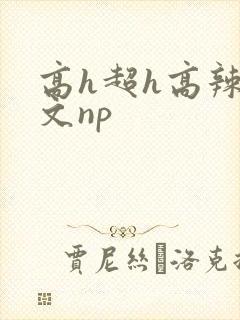 高h超h高辣h文np