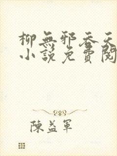 柳无邪吞天神鼎小说免费阅读