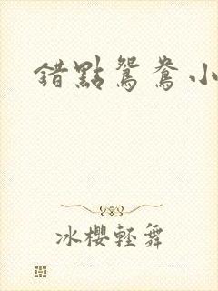 错点鸳鸯小说