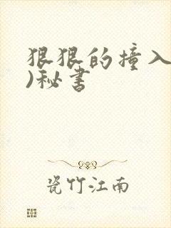 狠狠的撞入(h)秘书