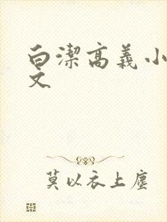 白洁高义小说全文