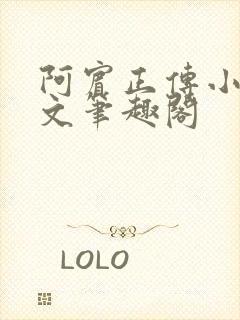 阿宾正传小说全文笔趣阁