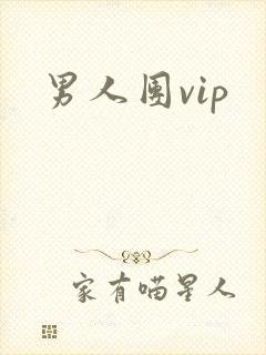 男人团vip