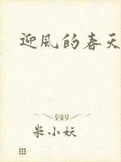 迎风的春天封面