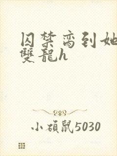 囚禁脔到她哭h双龙h