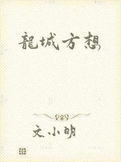 龙城方想封面