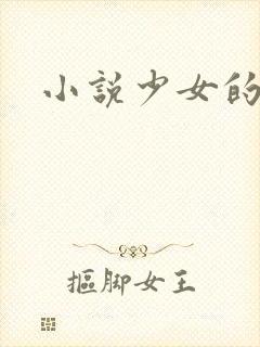 小说少女的心