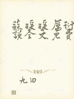 苏暖暖厉衍琛小说全文免费阅读