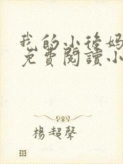 我的小后妈全文免费阅读小说封面