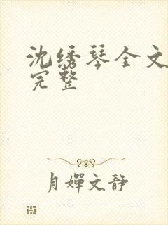 沈绣琴全文阅读完整封面