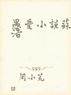 愚爱小说苏倩孙浩