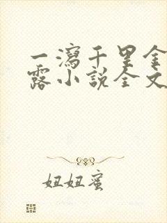 一泻千里金银花露小说全文免费阅读