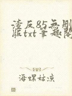 渣反85无删减版txt笔趣阁