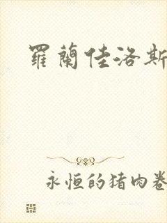 罗兰佳洛斯封面