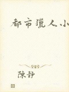 都市猎人小说