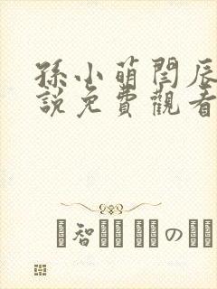 孙小萌闫辰的小说免费观看封面