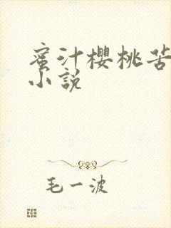 蜜汁樱桃苦咖啡小说