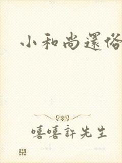 小和尚还俗记封面