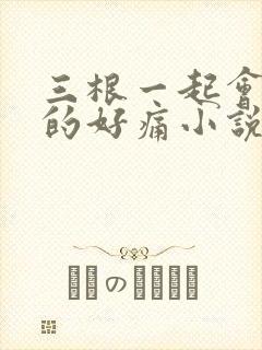三根一起会坏掉的好痛小说