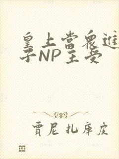 皇上当众进入太子NP主受