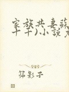 家族共妻苏苏(十千)小说免费