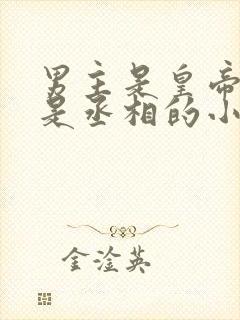 男主是皇帝女主是丞相的小说封面