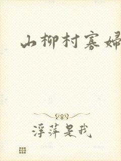 山柳村寡妇情史