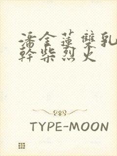 潘金莲双乳晃动干柴烈火