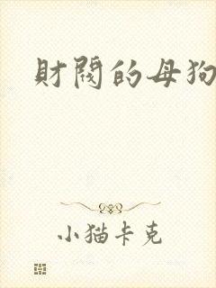 财阀的母狗们