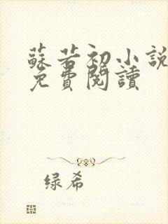 苏若初小说全文免费阅读