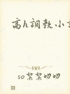 高h调教小说封面