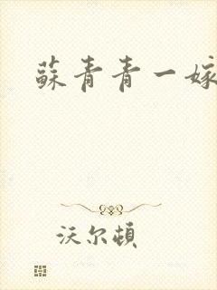 苏青青一嫁三夫