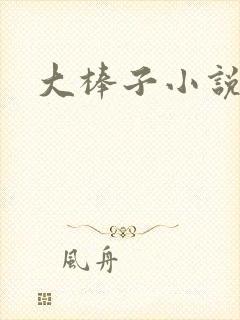 大棒子小说封面