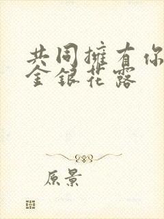 共同拥有你by金银花露