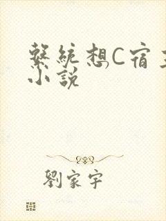 系统想C宿主的小说