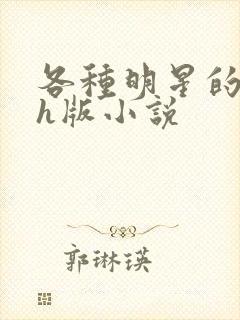 各种明星的综艺h版小说封面