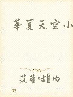 华夏天空小说网