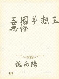 三国梦想王元姬无惨