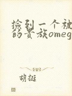 捡到一个被抹布的贵族omega