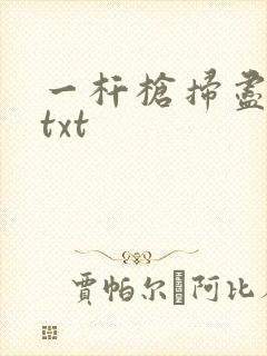 一杆枪扫尽全家txt