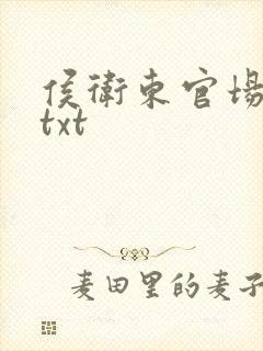 侯卫东官场笔记txt