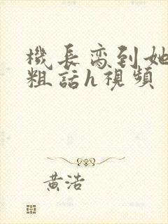 机长脔到她哭h粗话h视频