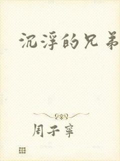 沉浮的兄弟封面